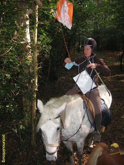 POTE Orbec 2011 epreuve trec loisir - 20111016-pote-orbec- 014.jpg